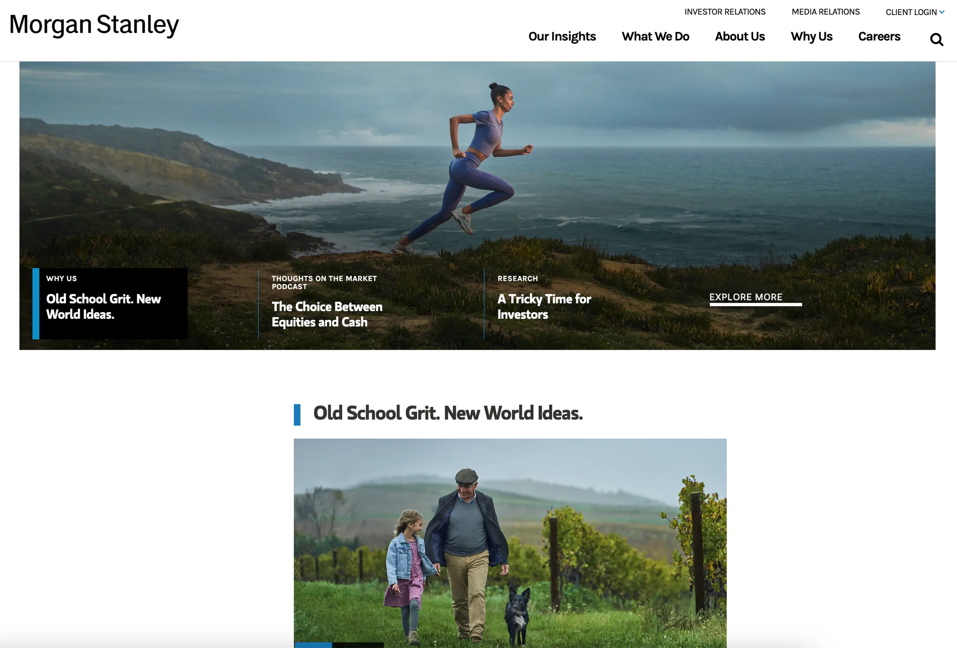 Portfolio